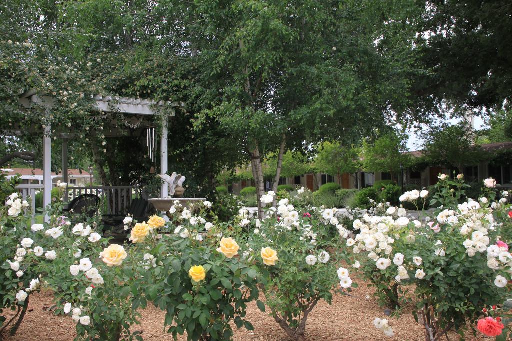 Meadowlark Inn Solvang Εξωτερικό φωτογραφία