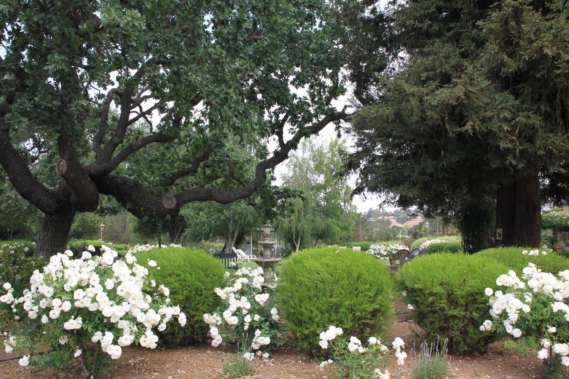 Meadowlark Inn Solvang Εξωτερικό φωτογραφία