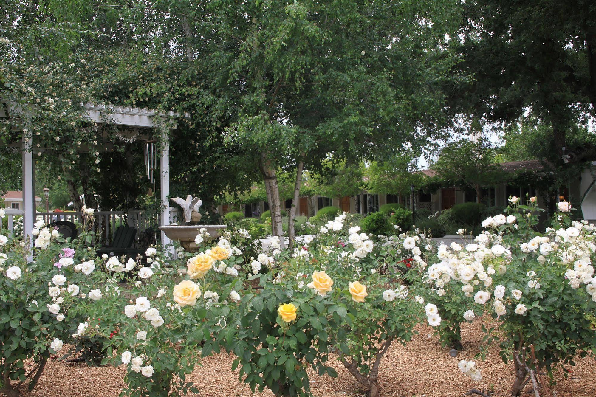 Meadowlark Inn Solvang Εξωτερικό φωτογραφία